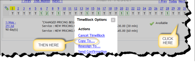 Image:Getting your Tongue around TimeBlocks